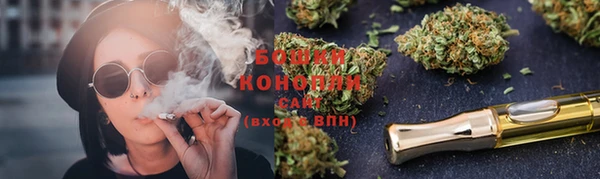 мдпв Дедовск
