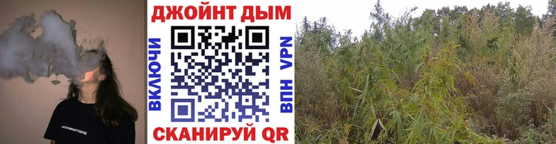 Шишки марихуана конопля  где купить   Радужный 